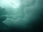 Lioson 2004 - Plongée sous glace